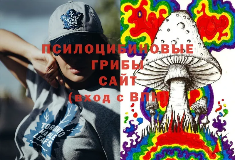 Псилоцибиновые грибы Magic Shrooms  Костомукша 